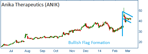 Bullish Flag on ANIK