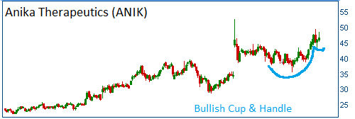 Cup & Handle on ANIK