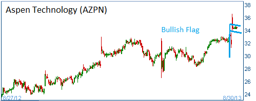 Bullish Flag on AZPN