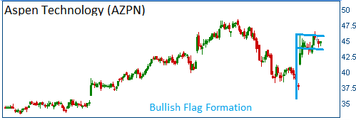 Bullish Flag on AZPN