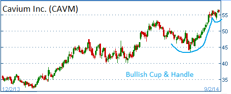 Bullish Cup & Handle on CAVM