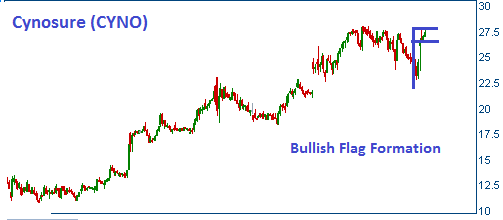 Flag Formation on CYNO