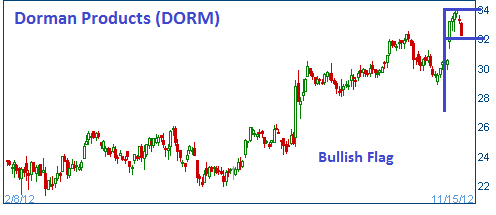 Bullish Flag on DORM