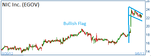 Bullish Flag on EGOV