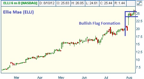 Flag Formation on ELLI