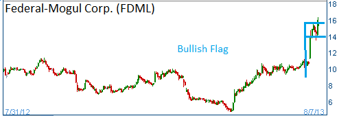 Bullish Flag on FDML