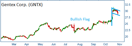 Bullish Flag on GNTX