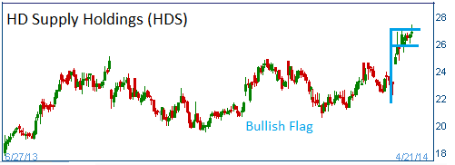 Bullish Flag on HDS