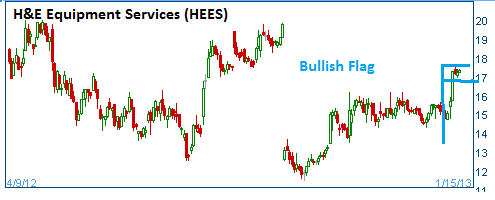 Bullish Flag on HEES