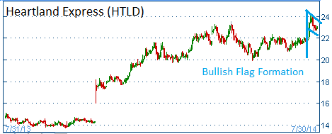 Bullish Flag on HTLD