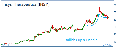 Bullish Cup & Handle on INSY