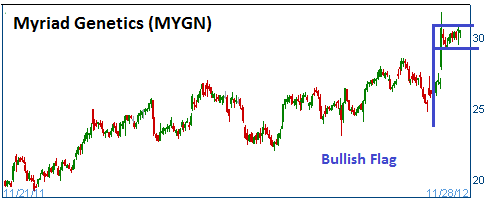 Bullish Flag on MYGN