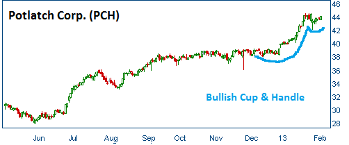 Cup & Handle on PCH