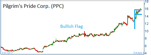 Bullish Flag on PPC