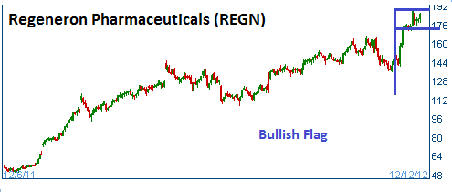 Bullish Flag on REGN