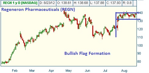 Bullish Flag on REGN