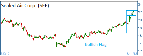 Bullish Flag on SEE