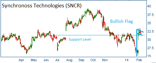 Bullish Flag on SNCR