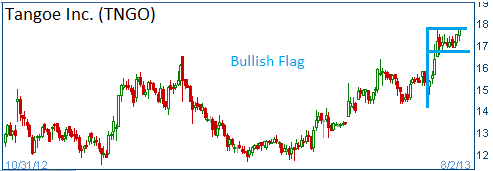 Bullish Flag on TNGO