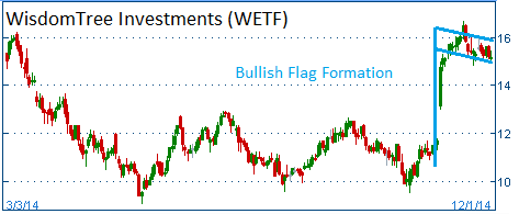 Bullish Flag on WETF